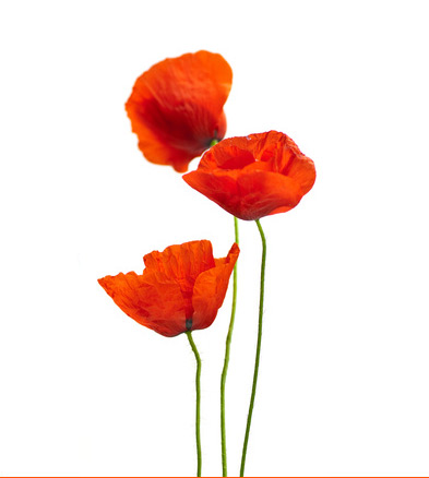 Vorsorge zur Früherkennung von Erkrankungen