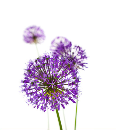 Sinne und betreuen Frauen in allen Lebensbereichen.